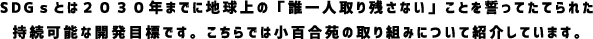 SDGｓとは２０３０年までに地球上の「誰一人取り残さない」ことを誓ってたてられた持続可能な開発目標です。こちらでは小百合苑の取り組みについて紹介しています。